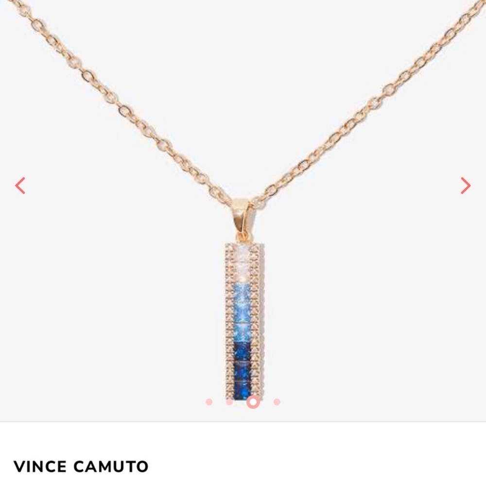 Ombré Vince Camuto Necklace